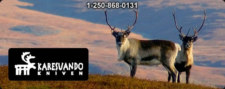 Karesuando Hunter Small Axe Walnut - Bushcraft Ontario