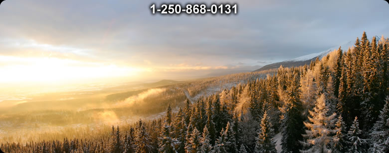 Bushcraft Ontario photo