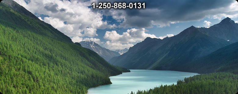 Bushcraft Ontario photo