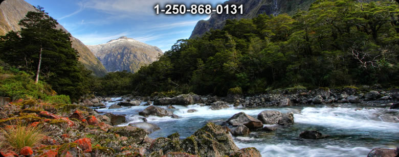 Bushcraft Ontario photo