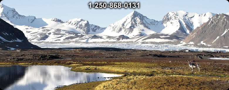 Bushcraft Ontario photo