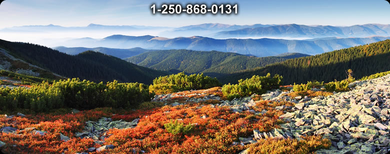 Bushcraft Ontario photo