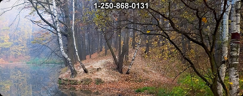 Bushcraft Ontario photo