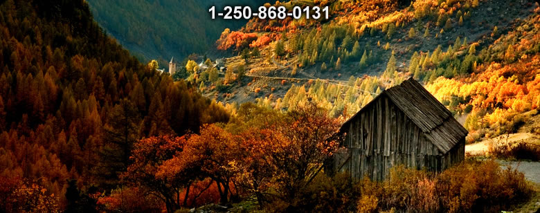 Bushcraft Ontario photo