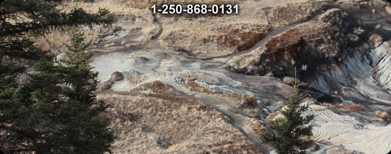 Bushcraft Ontario photo