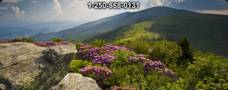 Bushcraft Ontario photo