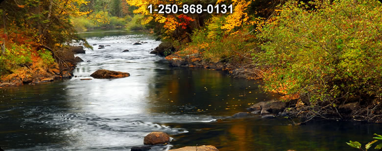 Bushcraft Ontario photo