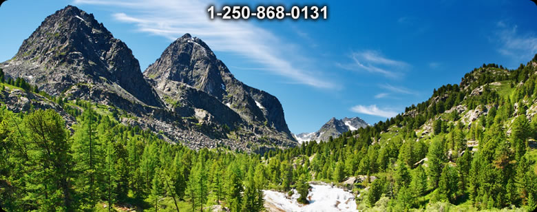 Bushcraft Ontario photo