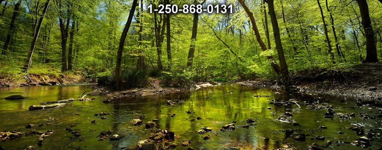 Bushcraft Ontario photo