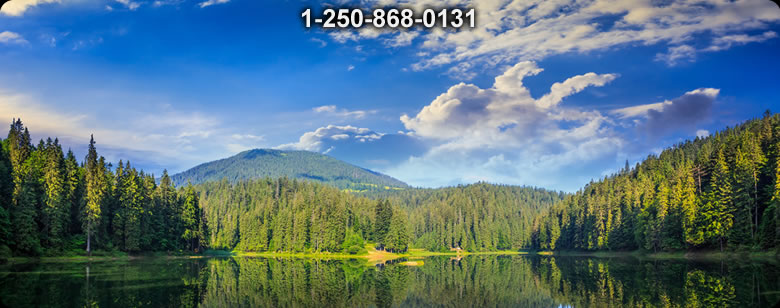 Bushcraft Ontario photo