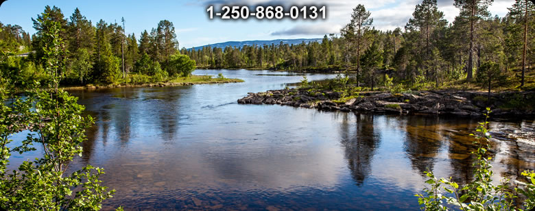 Bushcraft Ontario photo