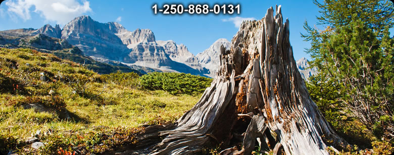 Bushcraft Ontario photo