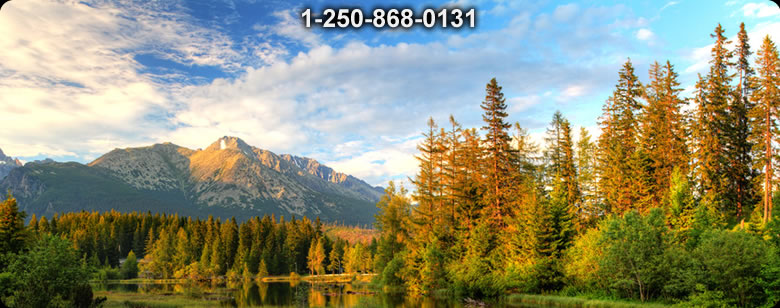 Bushcraft Ontario photo