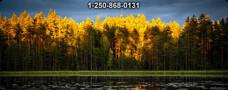 Bushcraft Ontario photo