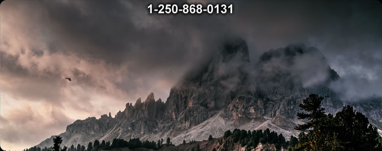 Bushcraft Ontario photo