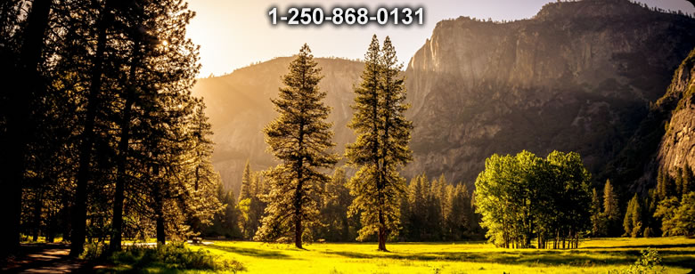 Bushcraft Ontario photo