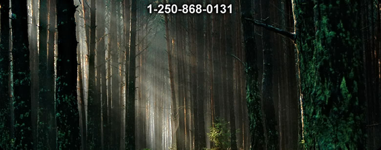 Bushcraft Ontario photo