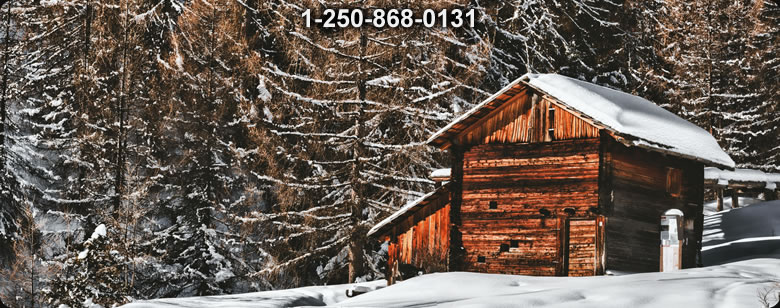 Bushcraft Ontario photo